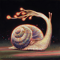 Starburst Snail - Allen Douglas