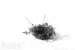 Nesting - Emma  Hirst