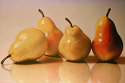 4 Yellow Pears - John Kuhn