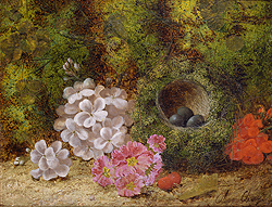 Still Life with Flowers and Bird\'s Nest - Oliver Clare