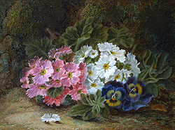 Primulas and Pansies - Oliver Clare