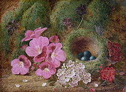 Bird\'s Nest with Flowers - Oliver Clare
