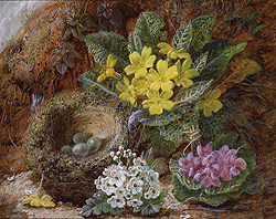 Still Life of Primroses and Bird\'s Nest - Oliver Clare