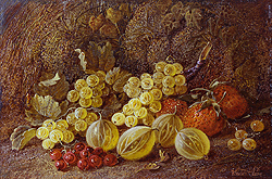 Still Life of Fruit - Vincent Clare